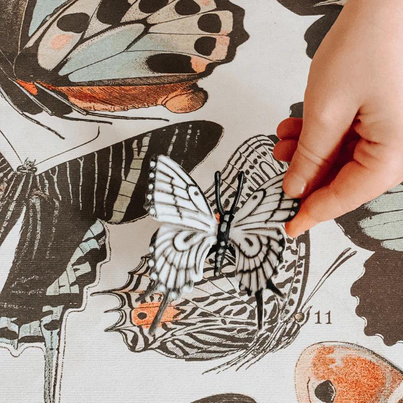 The Curated Parcel - Nature Tube // Butterfly 