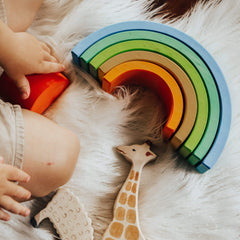 The Curated Parcel - Ocamora 6 piece Rainbow 