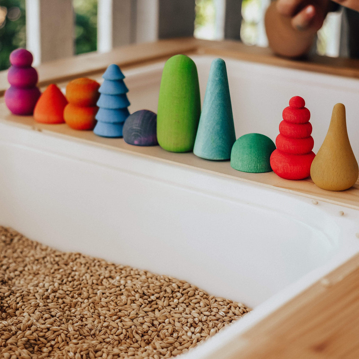 The Curated Parcel - Ocamora Bonsais 