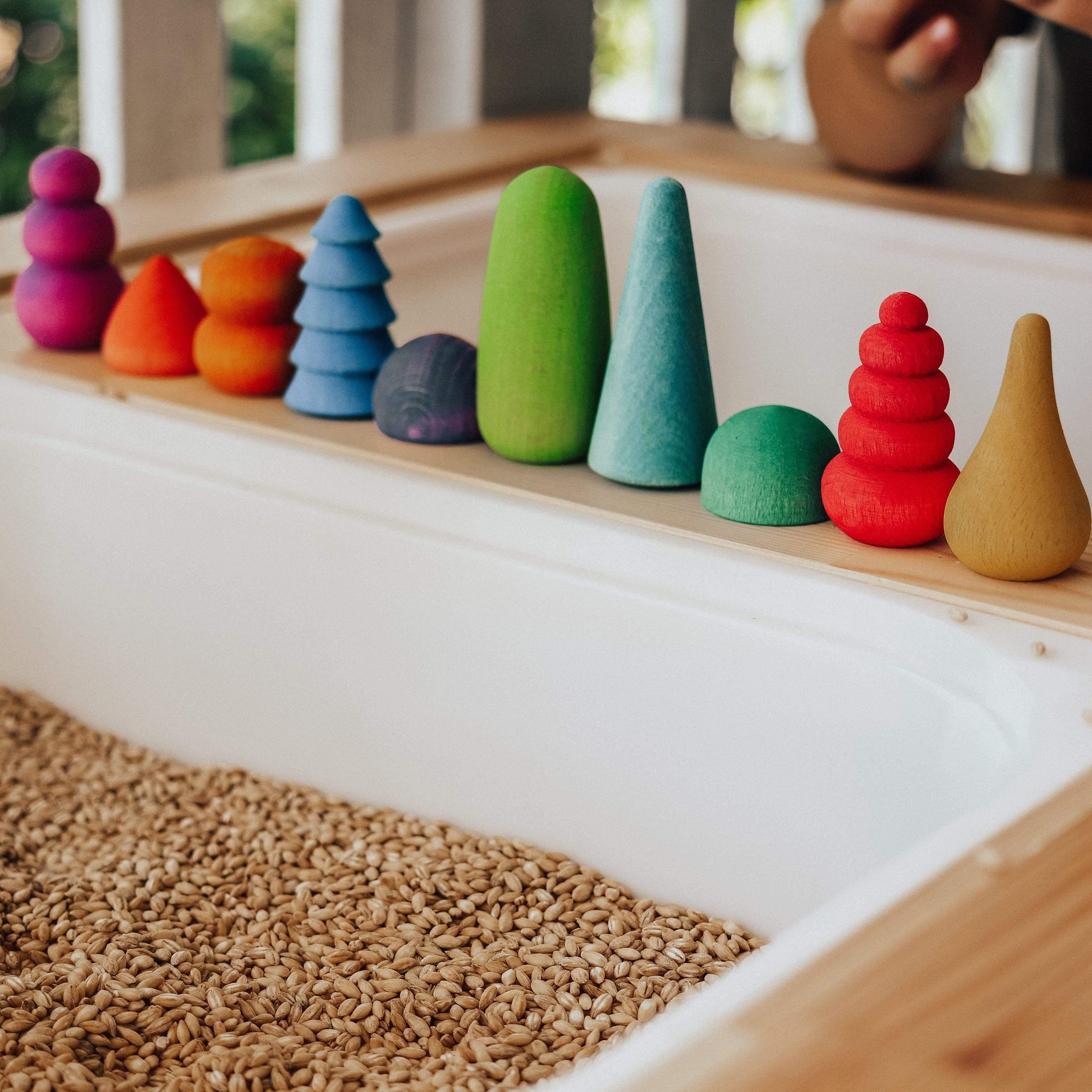 The Curated Parcel - Ocamora Bonsais 
