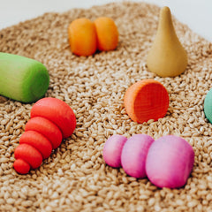 The Curated Parcel - Ocamora Bonsais 