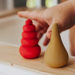 The Curated Parcel - Ocamora Bonsais 