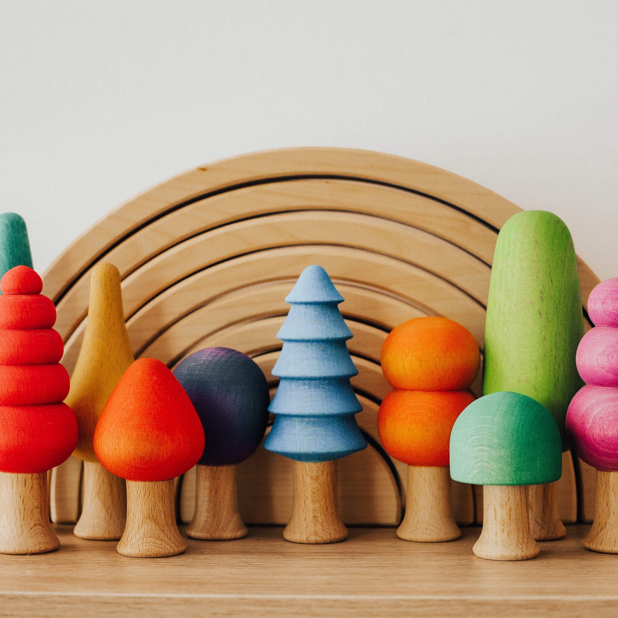 The Curated Parcel - Ocamora Forest Set of 10 