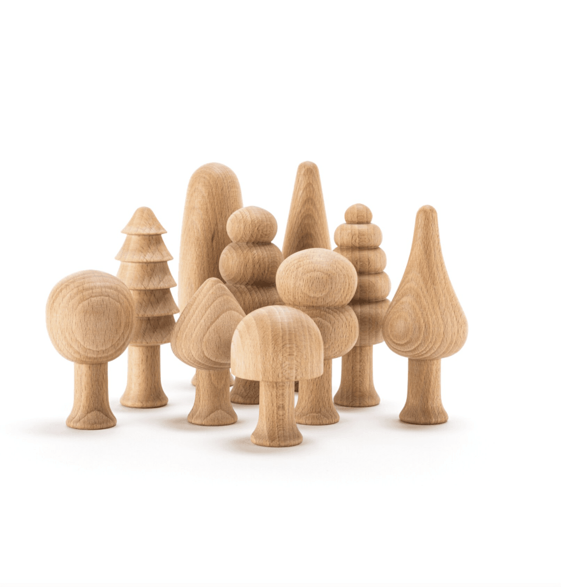 The Curated Parcel - Ocamora Forest Set of 10 