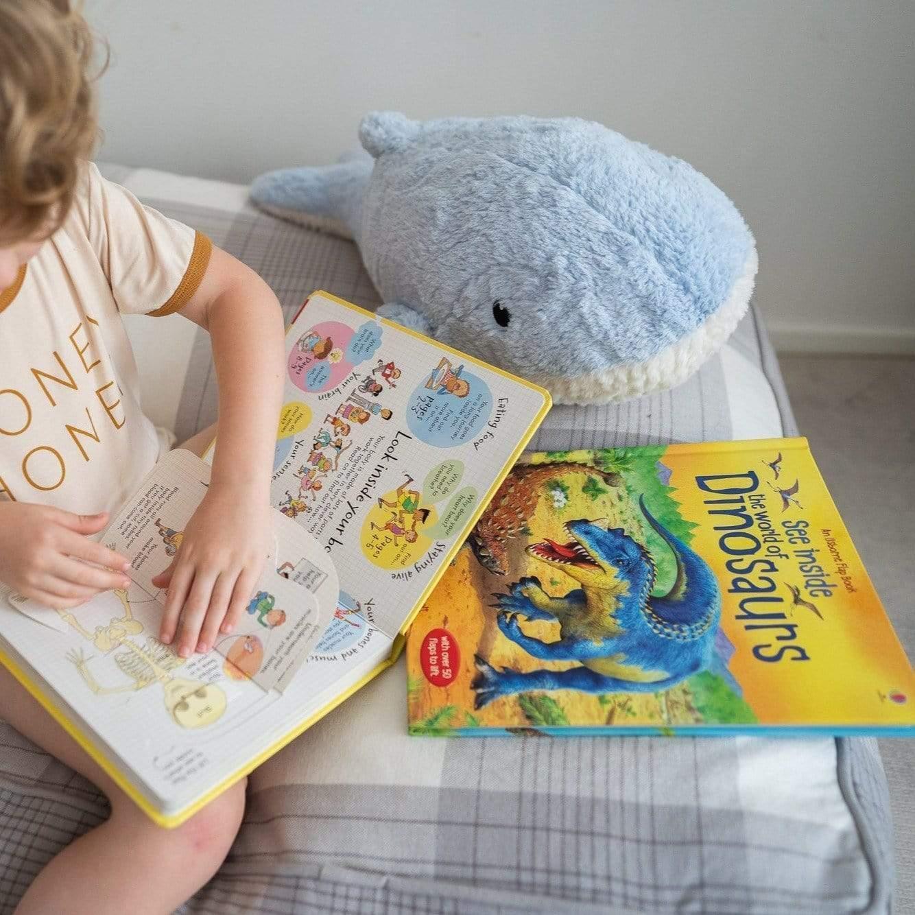 The Curated Parcel - Play & Learn Boxes (3-5 Years) 