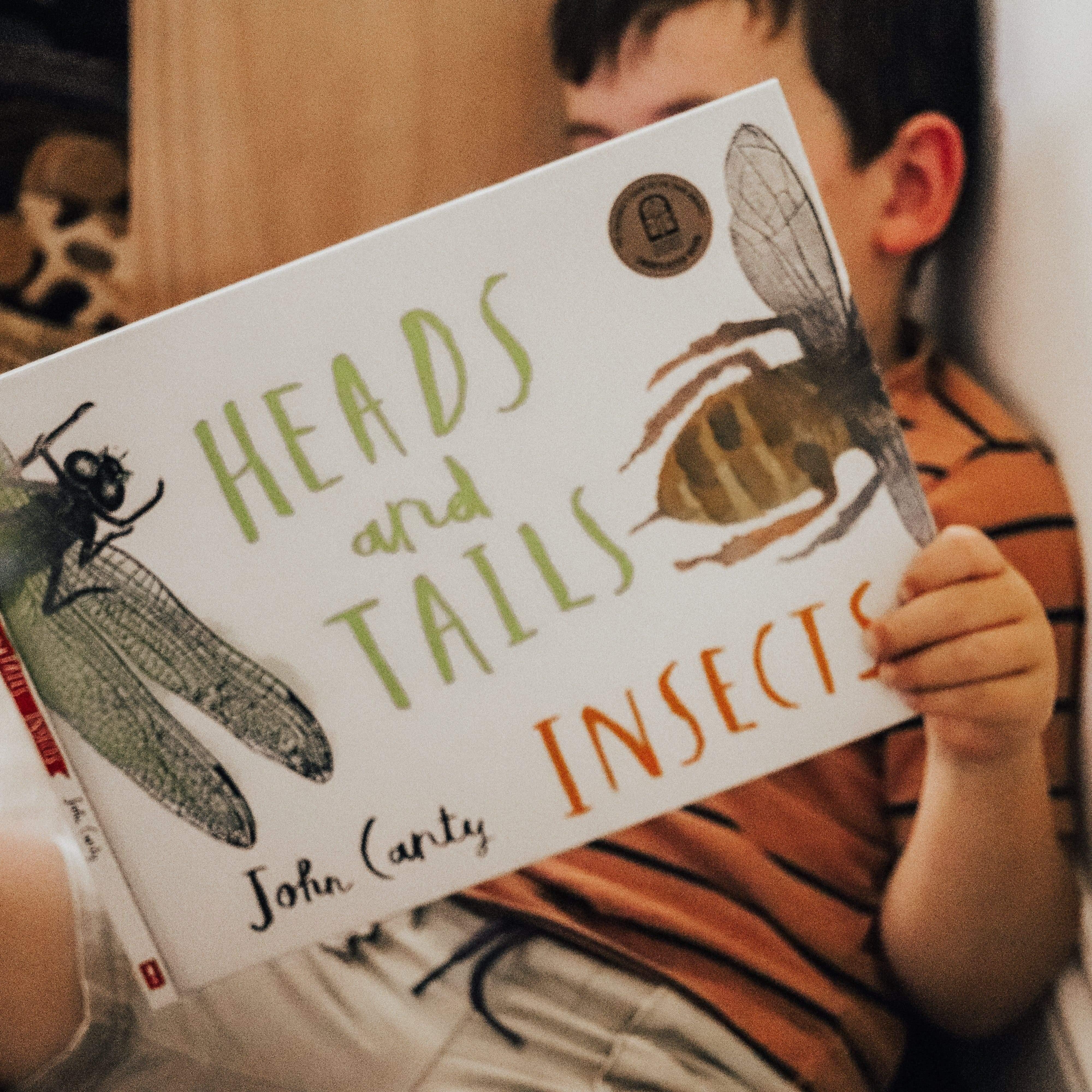 The Curated Parcel - Play & Learn Boxes (3-5 Years) 