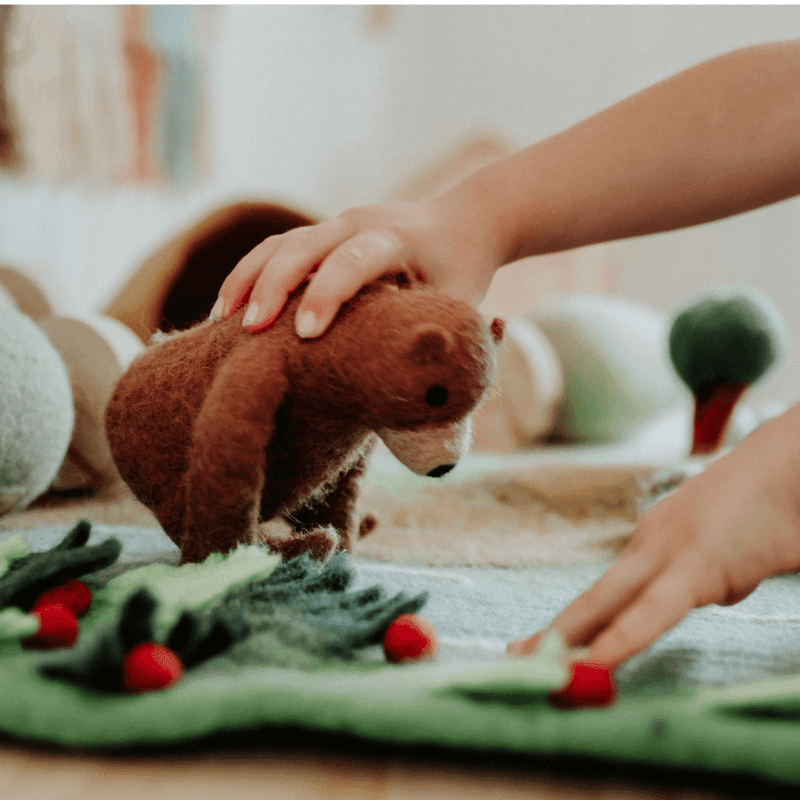 The Curated Parcel - Play Mat //  Bear Hunt 