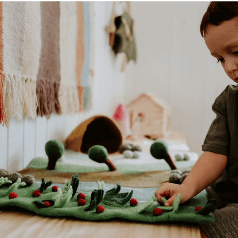 The Curated Parcel - Play Mat //  Bear Hunt 