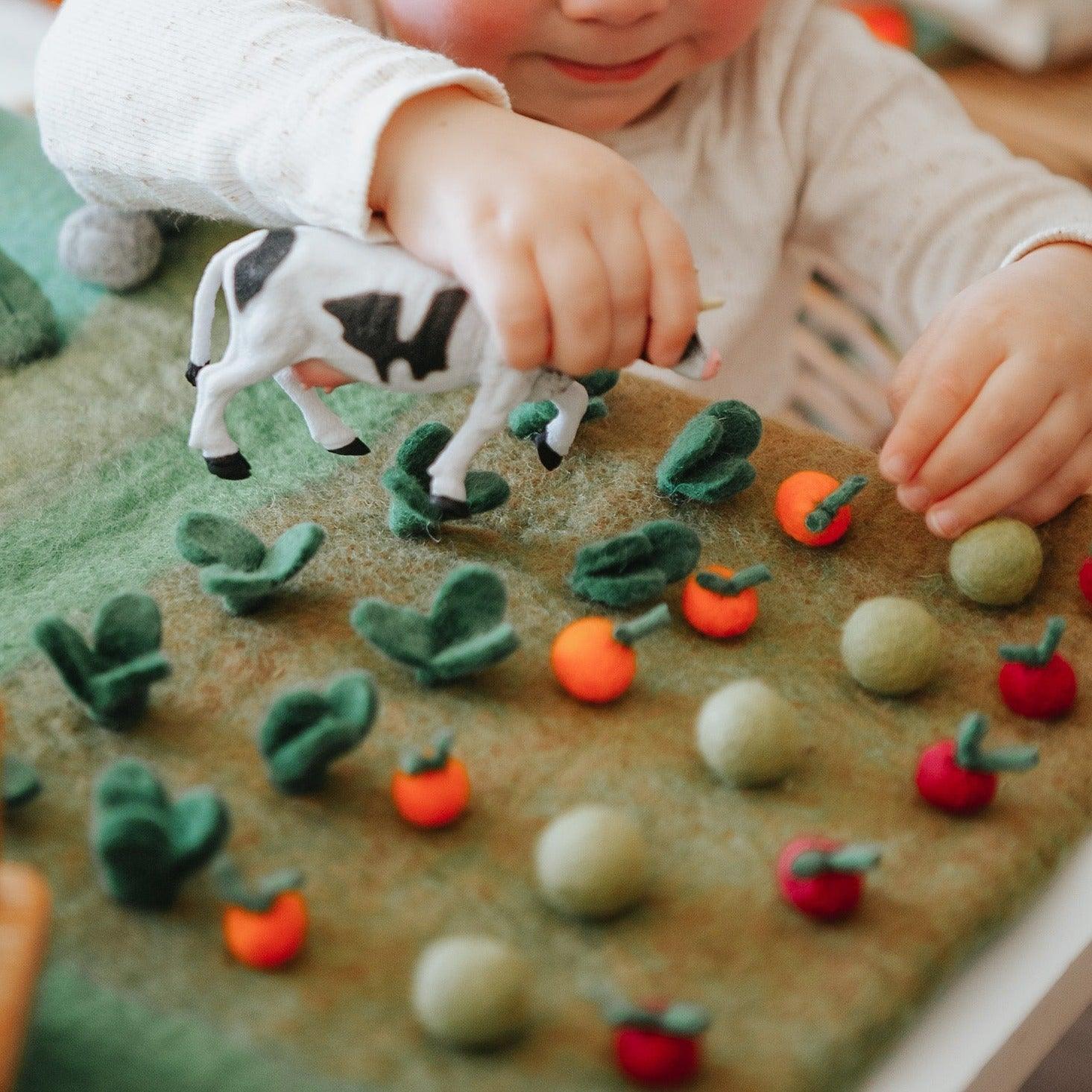 The Curated Parcel - Play Mat //  Farm (Large) 