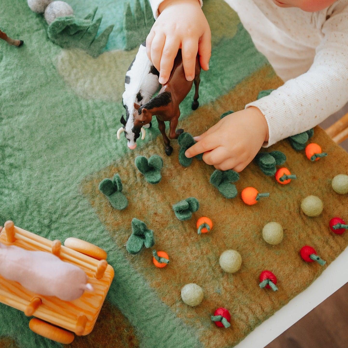 The Curated Parcel - Play Mat //  Farm (Large) 