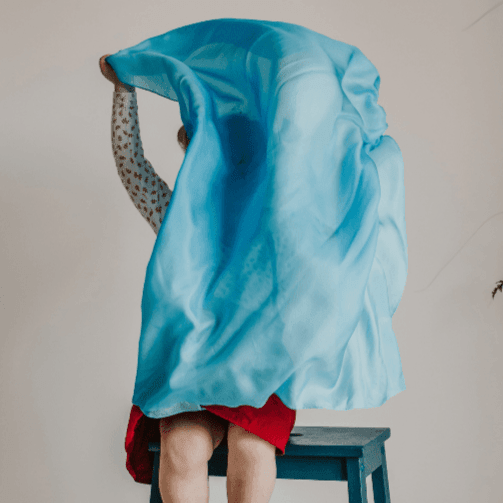 The Curated Parcel - Play Silkies Winter Silk 