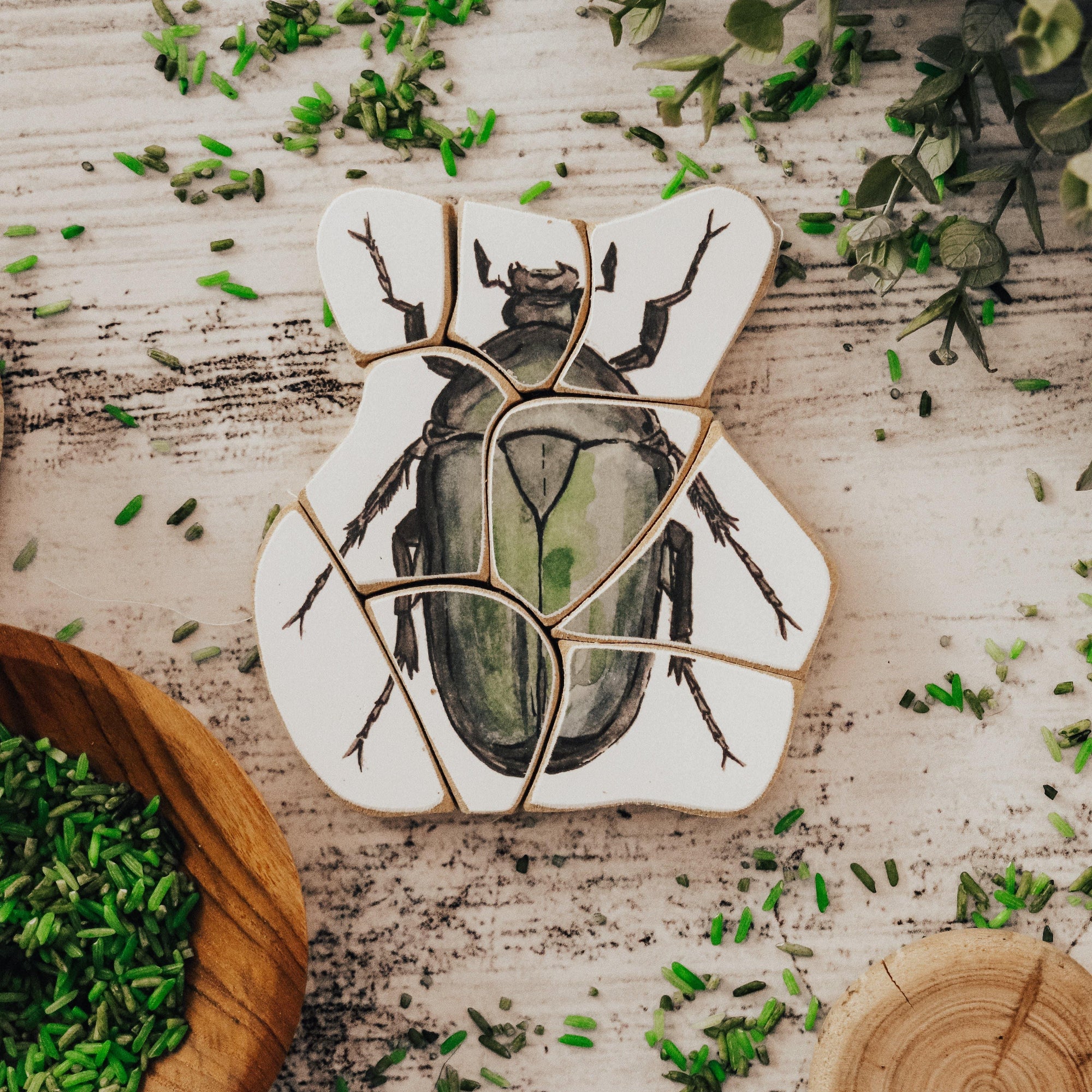 The Curated Parcel - Pocket Tiny Bug Puzzles 