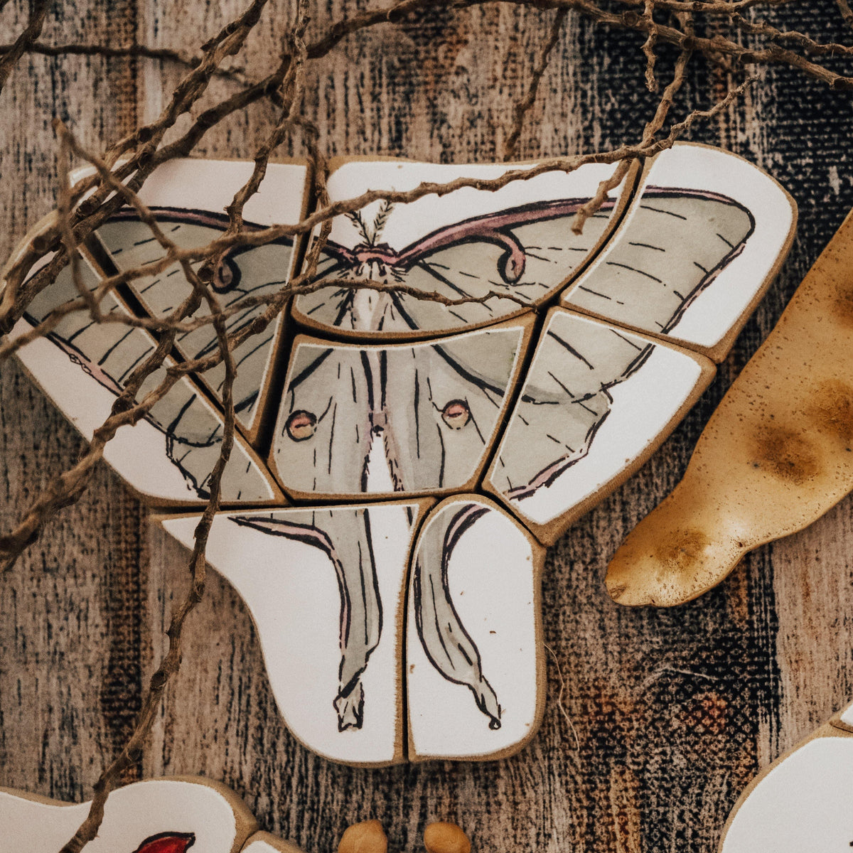 The Curated Parcel - Pocket Tiny Bug Puzzles 