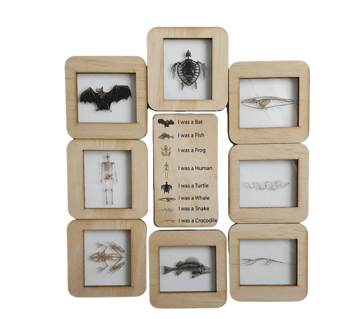 The Curated Parcel - Skeleton Lightbox Tiles 