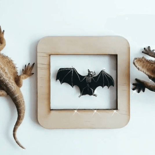 The Curated Parcel - Skeleton Lightbox Tiles 