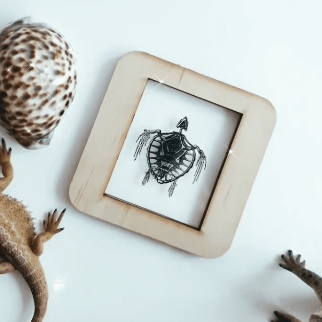 The Curated Parcel - Skeleton Lightbox Tiles 