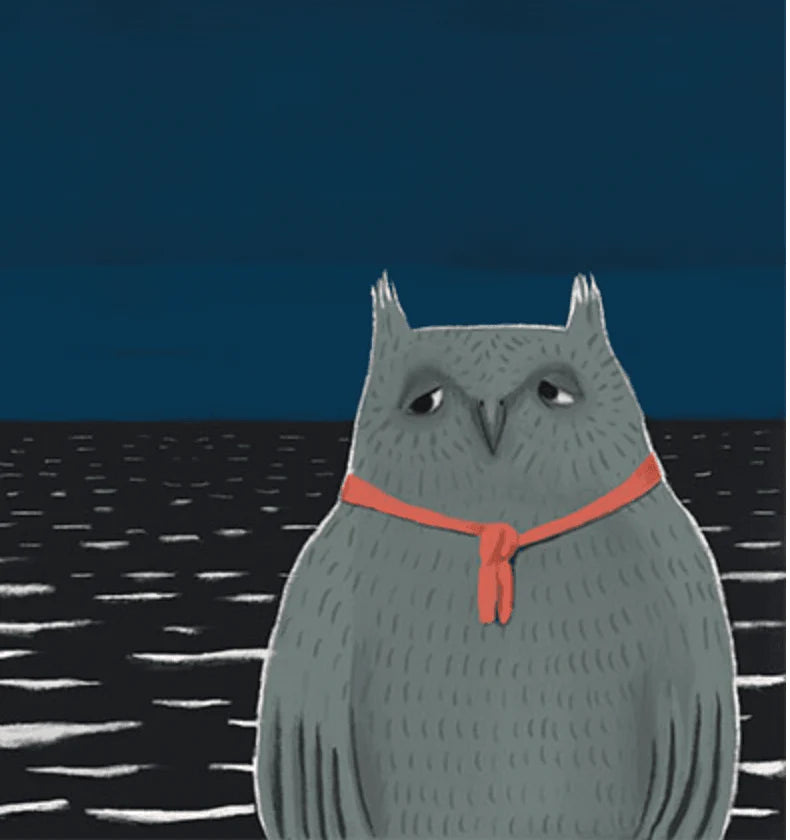 The Curated Parcel - The Owl Who Got Left Behind 