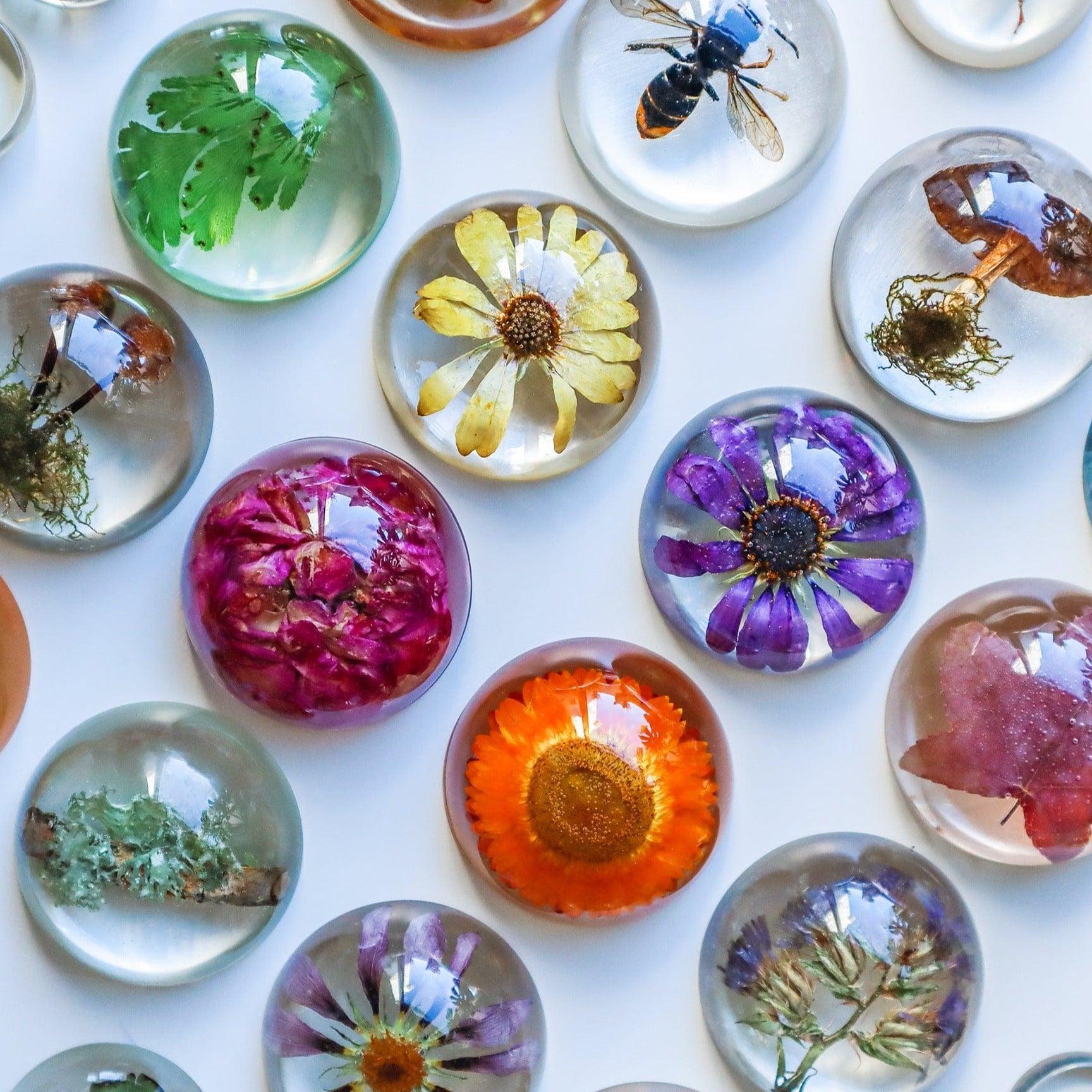 The Curated Parcel - Unique Nature Domes (Medium) 
