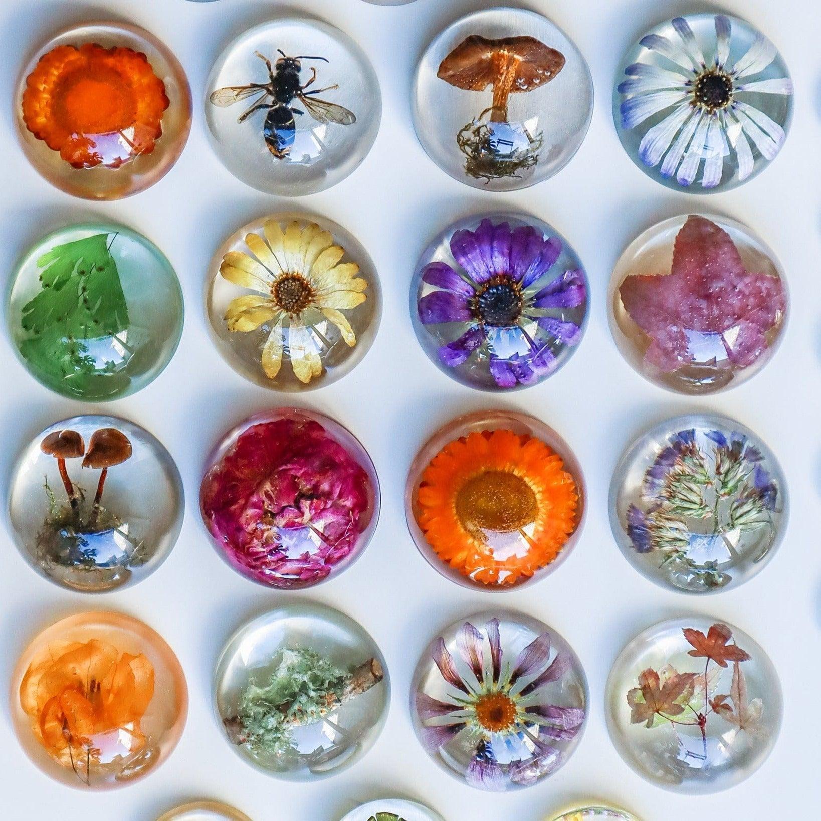 The Curated Parcel - Unique Nature Domes (Medium) 