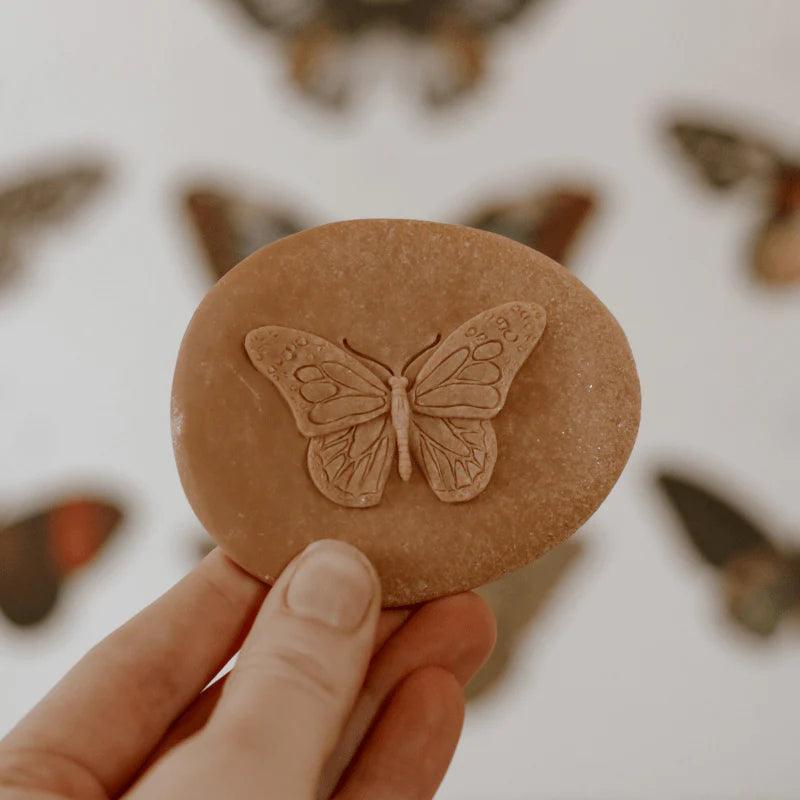 The Curated Parcel - Yellow Door // Let's Investigate - Bugs ** Pre-Order Late March / Early April Delivery ** 