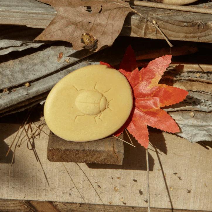 The Curated Parcel - Yellow Door // Let's Investigate - Bugs ** Pre-Order Late March / Early April Delivery ** 