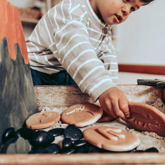 The Curated Parcel - Yellow Door // Let's Investigate - Dinosaur Footprints 