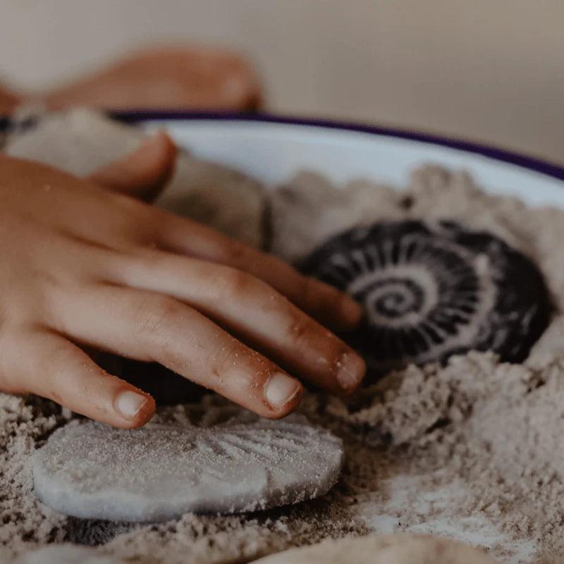 The Curated Parcel - Yellow Door // Let's Investigate - Fossils 