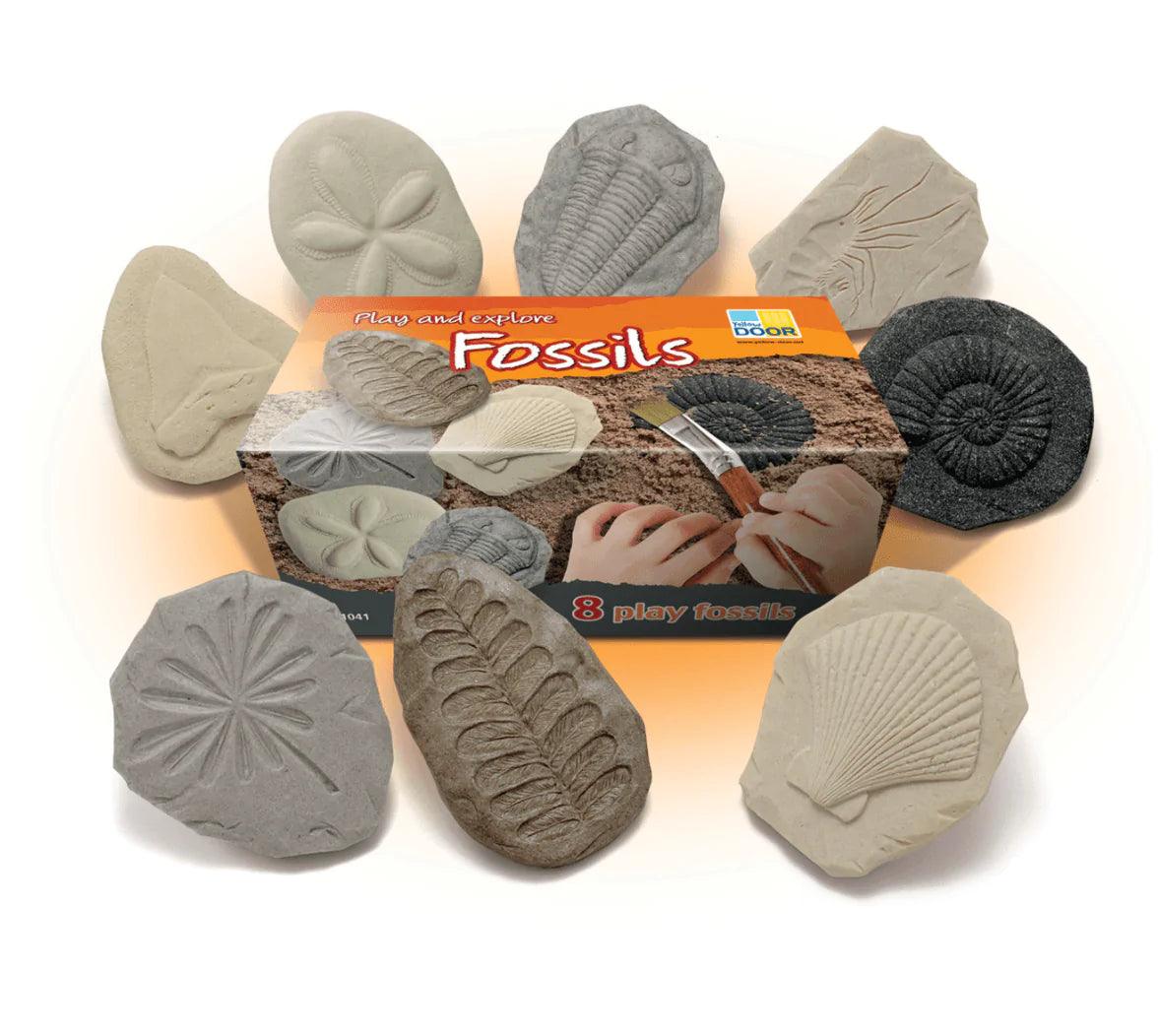 The Curated Parcel - Yellow Door // Let's Investigate - Fossils 