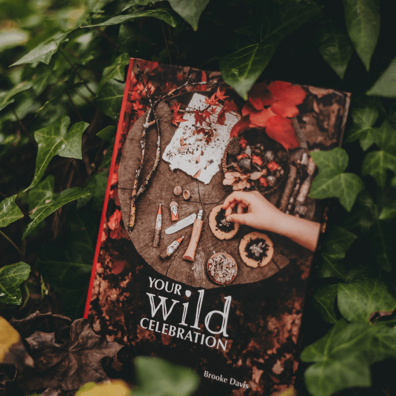 The Curated Parcel - Your Wild Celebration 