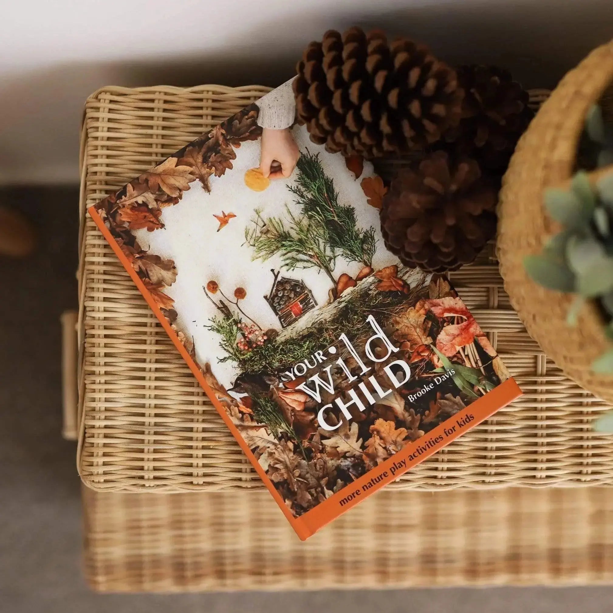 The Curated Parcel - Your Wild Child 